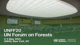 Armenia Presented Its Commitments to Forest Conservation at the UN High-Level Platform