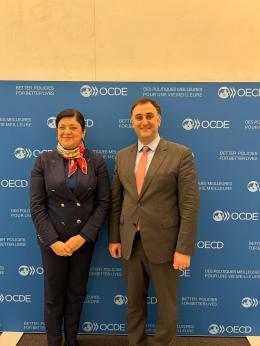 Заместитель министра окружающей среды Арам Меймарян принял участие в заседании «30th ENVIRONET Plenary Meeting», организованном Организацией экономического сотрудничества и развития (ОЭСР)