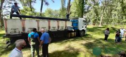 MORE THAN 300,000 SMALL FISH OF TROUT WERE RELEASED   BACK TO LAKE SEVAN