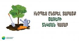 В преддверии общегосударственной посадки деревьев 25 апреля