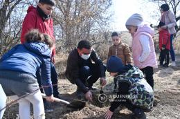 В рамках инициативы "10 млн деревьев" будет посажено еще 250 000 деревьев