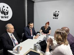 Minister Hambardzum Matevosyan Met With Kirsten Schuijt, WWF Director General