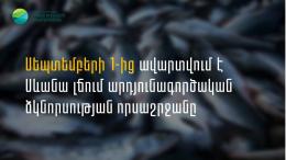 С 1 сентября завершается сезон промышленного рыболовства в озере Севан