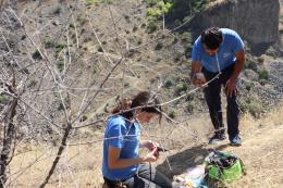 Activities aimed at the study and conservation of birds of prey in Armenia continue