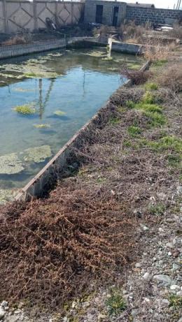 Пресечено незаконное водопользование рыбоводческого хозяйства