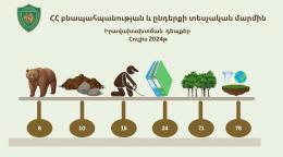 Իրականացված վերահսկողական և/կամ օրենքով սահմանված այլ գործառույթների իրականացման ընթացքում արձանագրվել է 231 դեպք