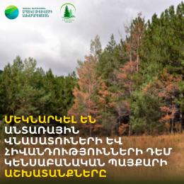 Մեկնարկել են անտառային վնասատուների և հիվանդությունների դեմ կենսաբանական պայքարի աշխատանքները