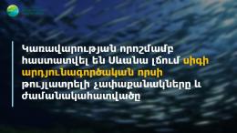 Կառավարության որոշմամբ հաստատվել են Սևանա լճում սիգի արդյունագործական որսի թույլատրելի չափաքանակները և ժամանակահատվածը