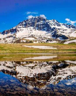 Սիրելի՛ հայրենակիցներ