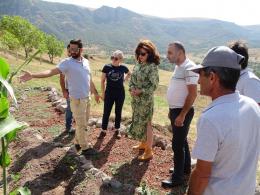 Տանձենու վտանգված տեսակների պահպանությունը և դրանց պոպուլյացիաների կենսունակության ապահովումը Հայաստանում