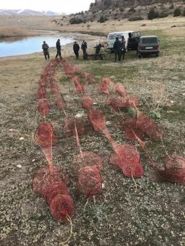 As part of the control measures, 75 illegal crustaceans were removed from Lake Sevan